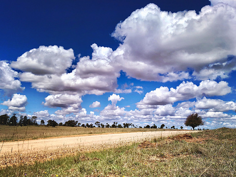Horizontal landscape of a single land dirt road leading to the horizon through a grassy farm paddock with distant trees on the horizon under a blue sky filled with fluffy white clouds in the countryside near Armidale, NSW