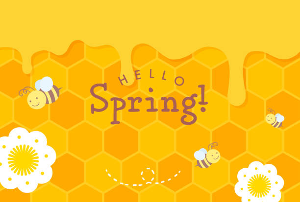 ilustraciones, imágenes clip art, dibujos animados e iconos de stock de fondo vectorial con abejas y miel para banners, tarjetas, volantes, fondos de pantalla de redes sociales, etc. - honey hexagon honeycomb spring