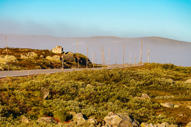 istock Road crossing Hardangervidda plateau, Norway. 1305777667