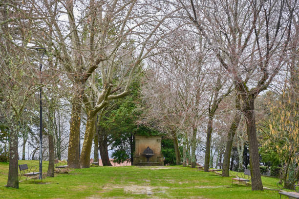 istock Park in winter with no leaves on the trees 1305777690