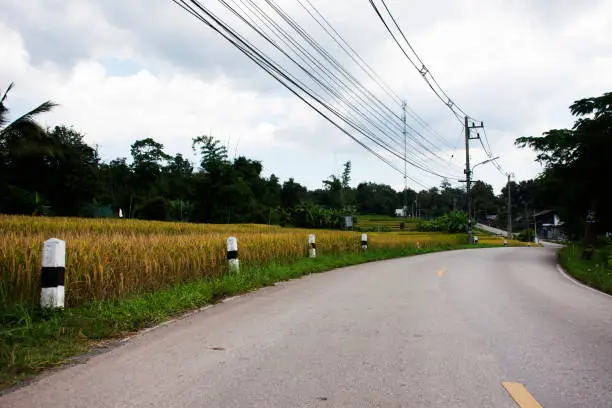 Photo of View landscape traffic road in countryside and Huay Kaew primary street at Baan Huaykaew village