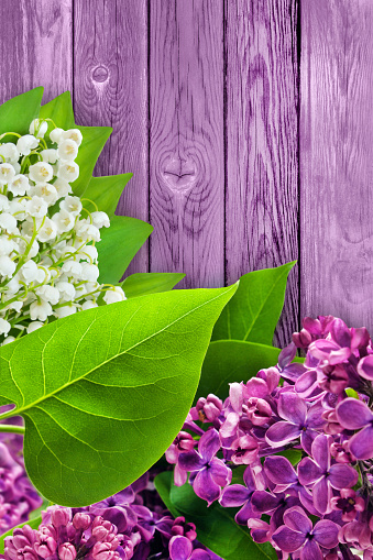 Lilac blossoms and Lily of the Valley