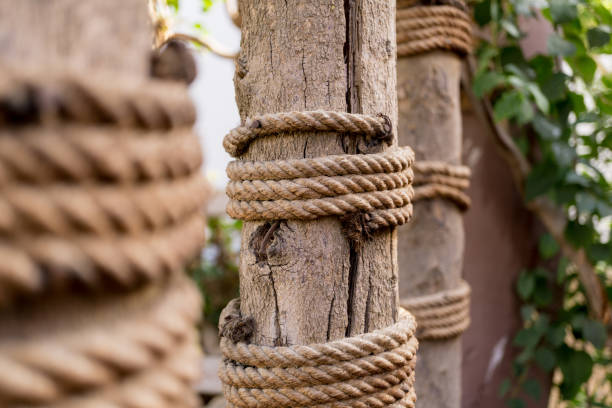 istock Bamboo poles tied by a thick rope 1305785977