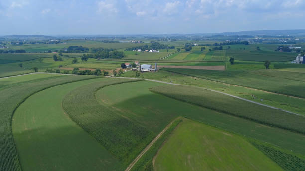 istock View of Green Farmlands With Different Crops Growing in the Fields 1305788747