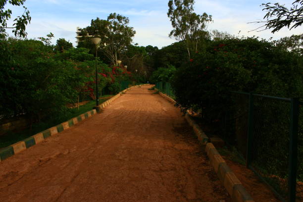 istock Bengaluru green shots 1305791297