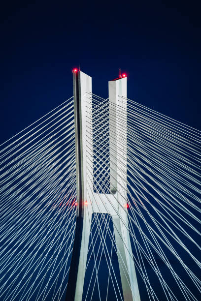 istock Wroclaw Redzinski Bridge over the Odra River, illuminated pylon and cable-stayed on the sky background. 1305794500
