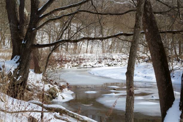 istock Frozen Creek in the Forest 1305796900