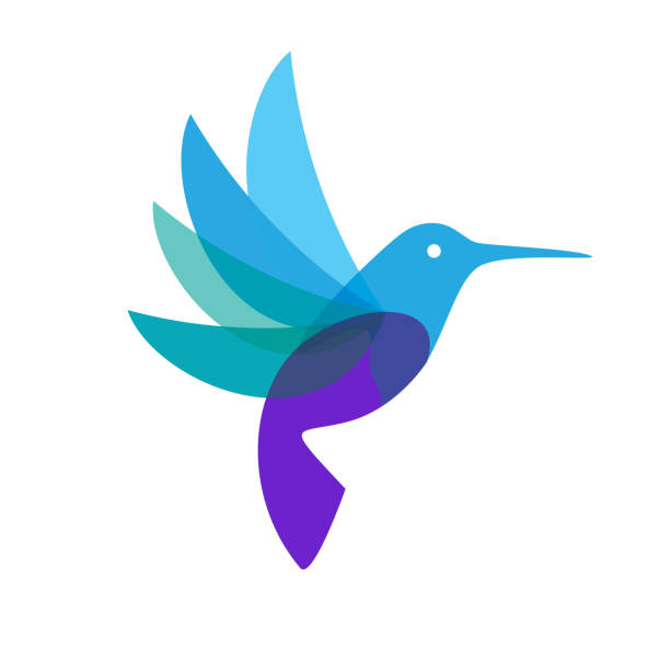 Modern abstract bird logo design with vibrant color Modern abstract bird logo design with vibrant color hummingbird stock illustrations