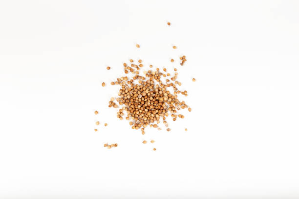 istock Coriander seeds isolated on white background. Top view. 1305799465