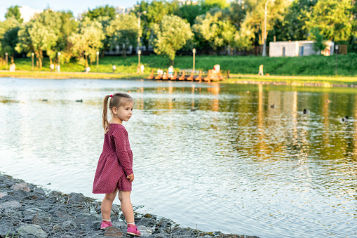 cute little caucasian girl admires the lake in the city park on a summer evening