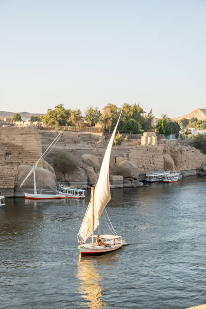 istock Feluccas on the Nile river in Aswan, sunset 1305801198