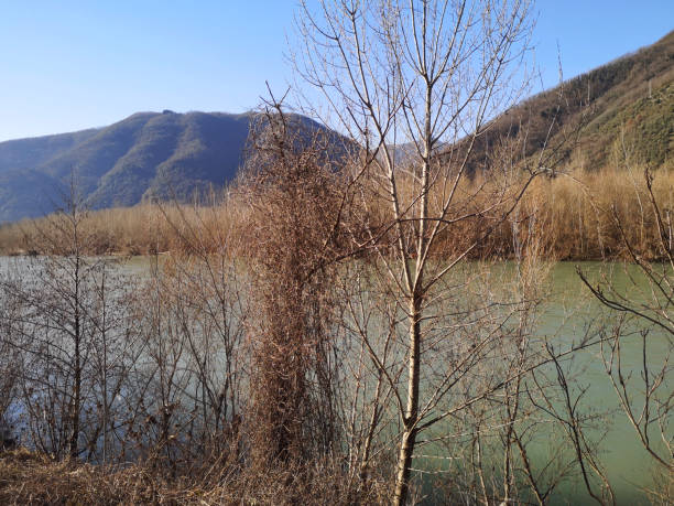 istock Serchio river in Garfagnana, Lucca province 1305801575
