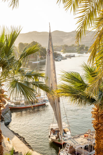 istock Feluccas on the Nile river in Aswan, sunset 1305801726