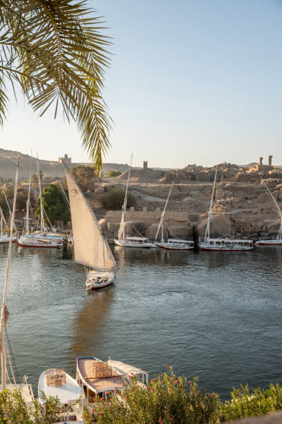 istock Feluccas on the Nile river in Aswan, sunset 1305802778