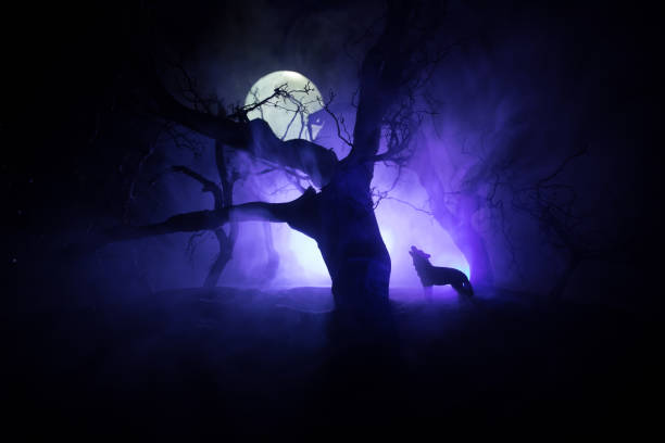 istock Silhouette of howling wolf against dead forest skyline and full moon. Creative artwork decoration. 1305802990