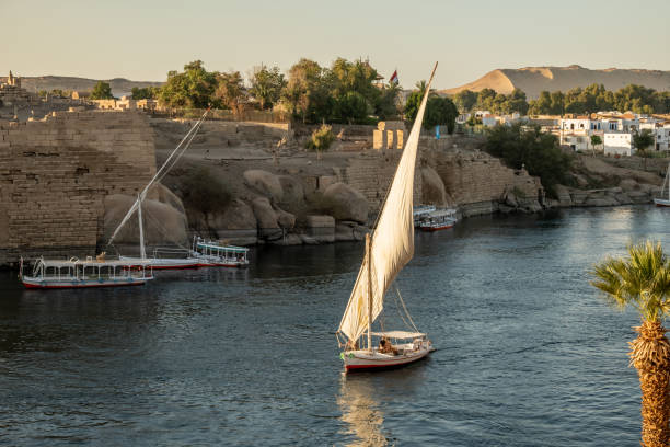 istock Feluccas on the Nile river in Aswan, sunset 1305803905