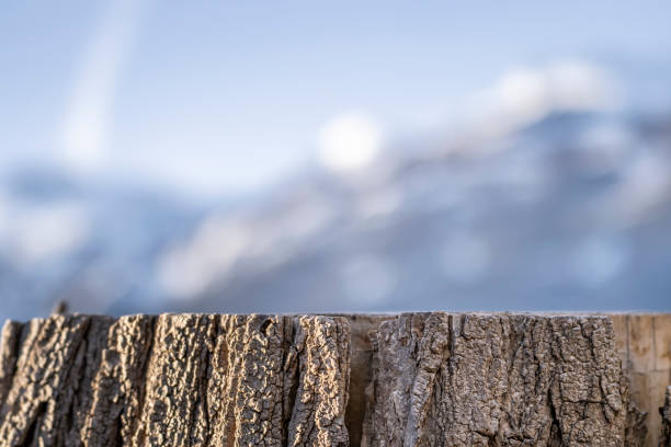 Albero sradicato in Val di Funes nell'Alto Adige