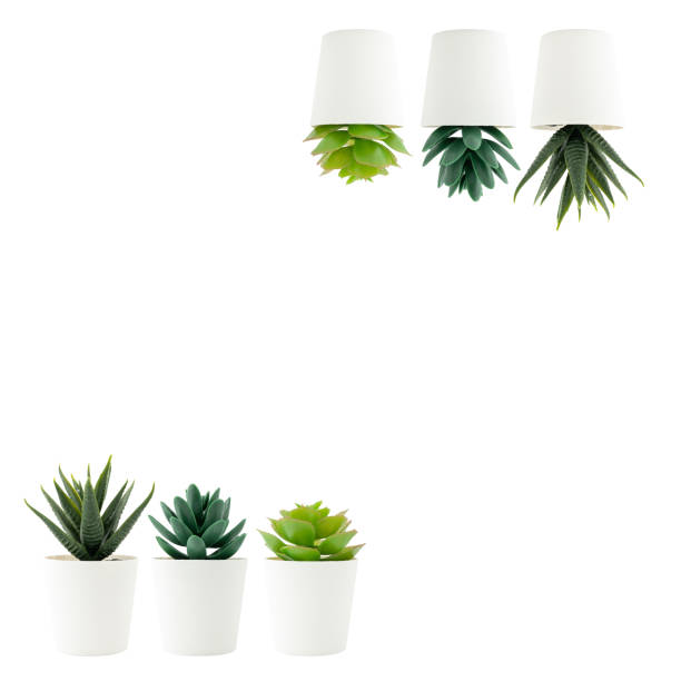 Creative concept artificial plant with a copy space isolated on white background.