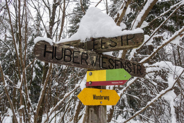 istock Signpost for hiking trails in snowy forest 1305807914
