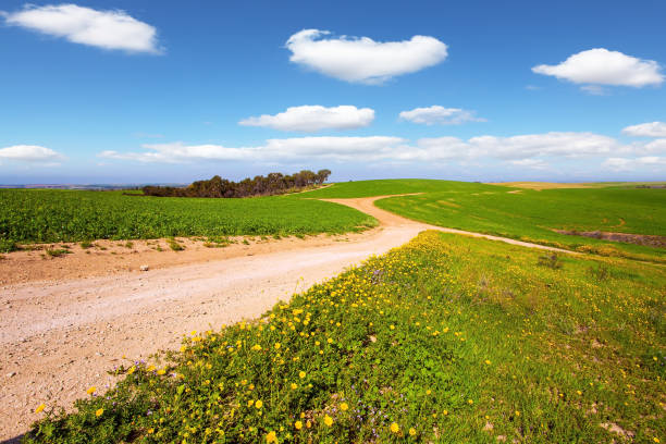 istock Wide dirt road crosses the valley 1305809917