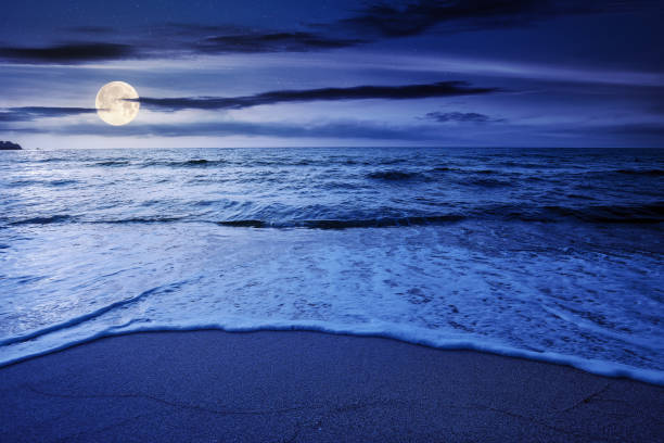 istock summer vacation at the seaside at night 1305809949
