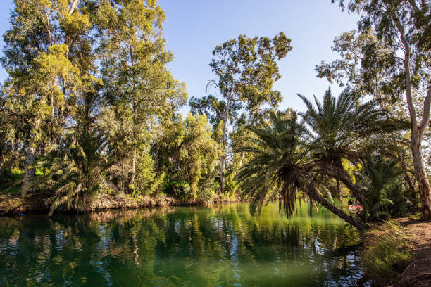 istock Wonderful walk along the river 1305809950