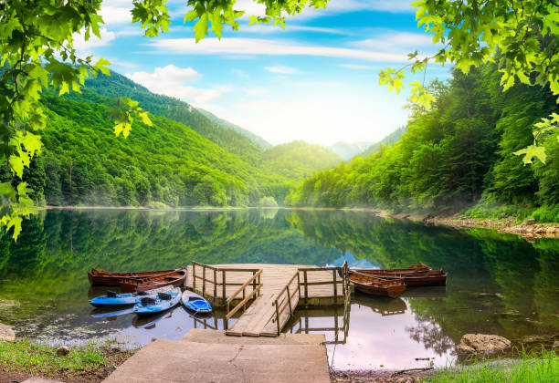 see in nationalpark - woods reflection famous place standing water stock-fotos und bilder