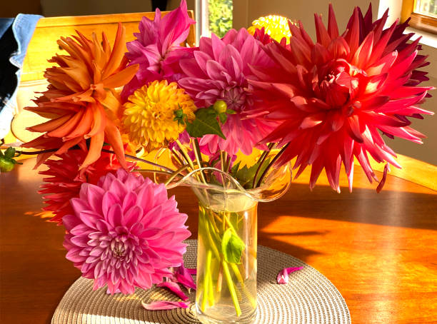 istock Dahlias in a bouquet 1305813292