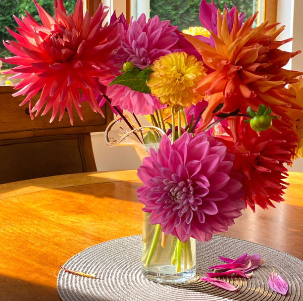 istock Dahlias in a bouquet 1305813293