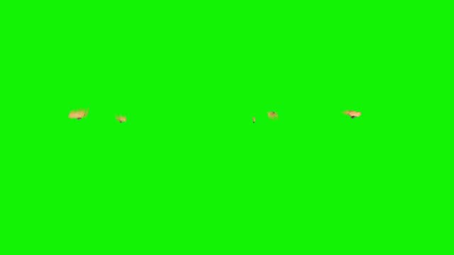 Flying Butterflies on the green screen. The concept of animal, wildlife, games, back to school, 3d animation, short video, film, cartoon, organic, chroma key, character animation, design element, loopable