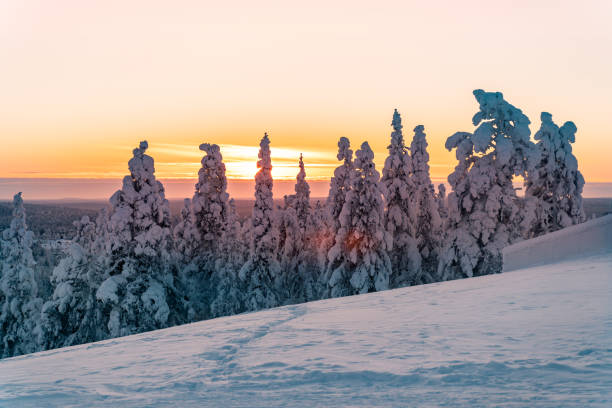 istock Arctic sunset in Lapland Finland 1305820453