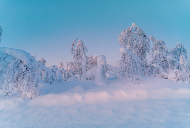 istock Winter wonderland in Scandinavia at sunset 1305824578