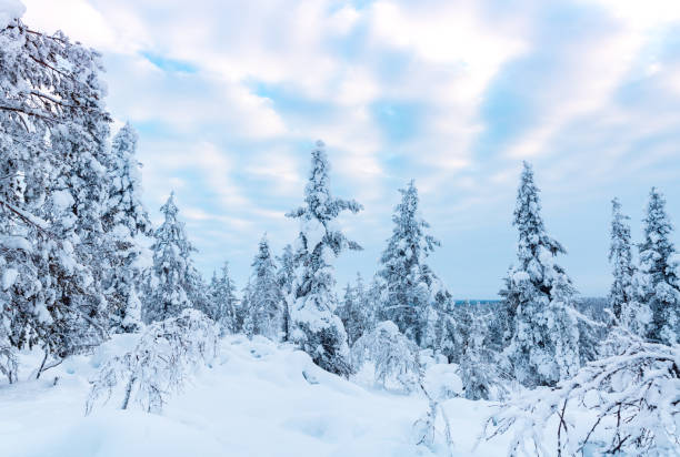 istock Winter wonderland in lapland at sunset 1305827096