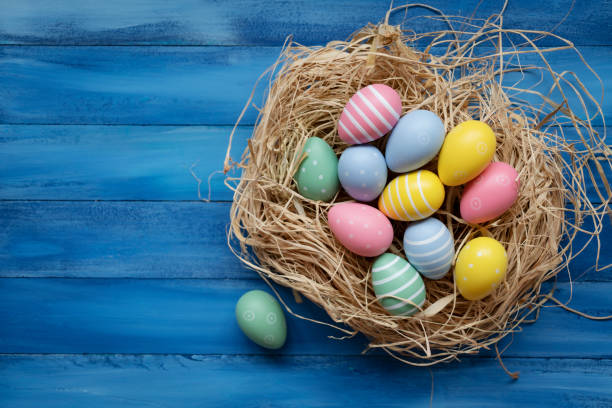 uova di pasqua con nido d'uccello - easter nest foto e immagini stock