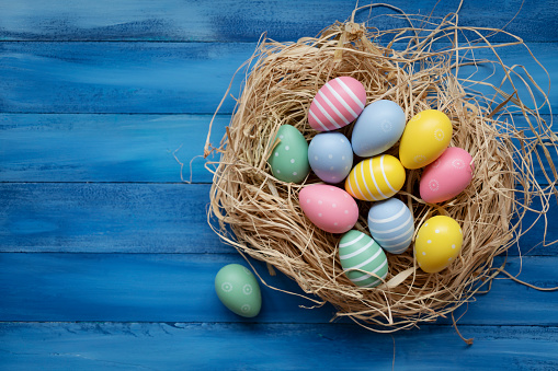 Easter Eggs with Bird's Nest on wood