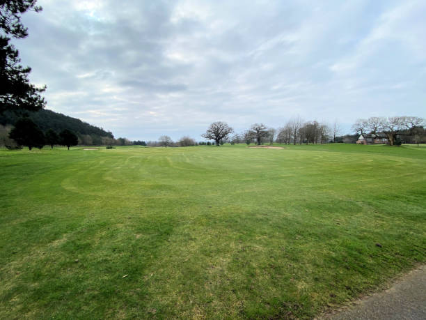 istock A view of the Cheshire Countryside 1305830528
