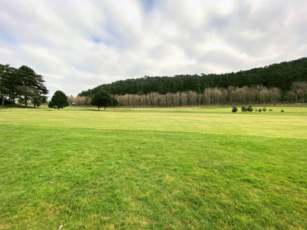istock A view of the Cheshire Countryside 1305830533