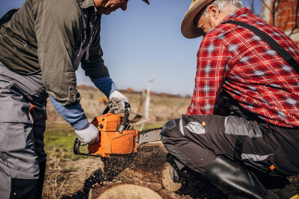 istock Man with chainsaw cutting wood 1305832932