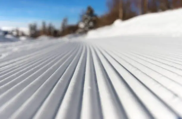 Photo of Lines in groomed snow on nordic or alpine ski terrain