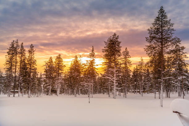 istock Winter wonderland in lapland at sunset 1305839646