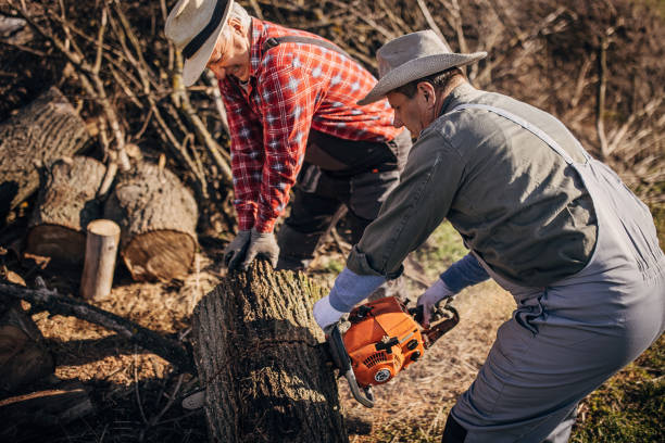 istock Man with chainsaw cutting wood 1305842056