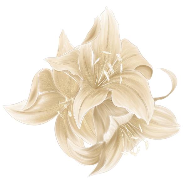 istock Three flowers of the golden lily 1305843379