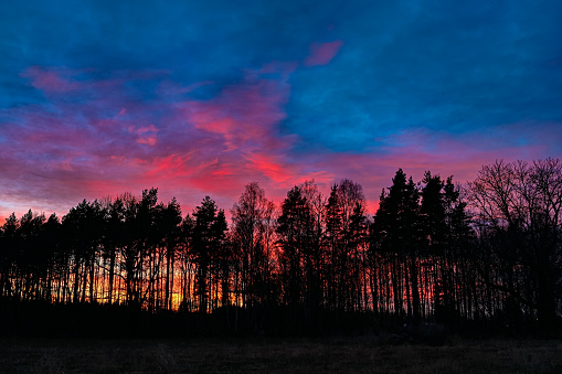 colorful sunset sky behind silhouette of dark forest in Hallabrottet Kumla Sweden