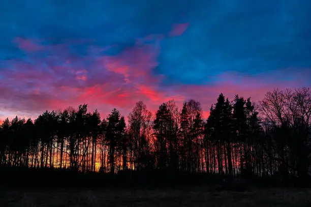 Photo of colorful sunset sky behind silhouette of dark forest