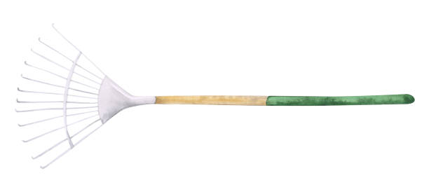 istock Watercolor rake isolated on a white background. Hand-drawn garden tool for your design. Farmhouse object of raking. Illustration of the gardening instrument. 1305844441