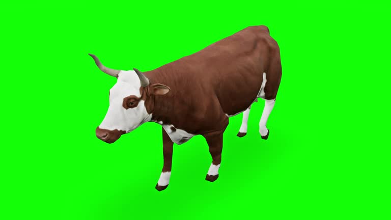 Cow Animation Stock Videos and Royalty-Free Footage - iStock Cow Animation Stock Videos and Royalty-Free Footage - iStock