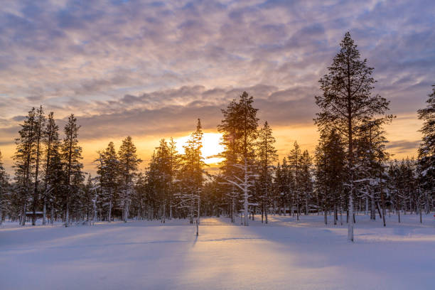 istock Sundown in winter snowy forest, beautiful landscape 1305846479