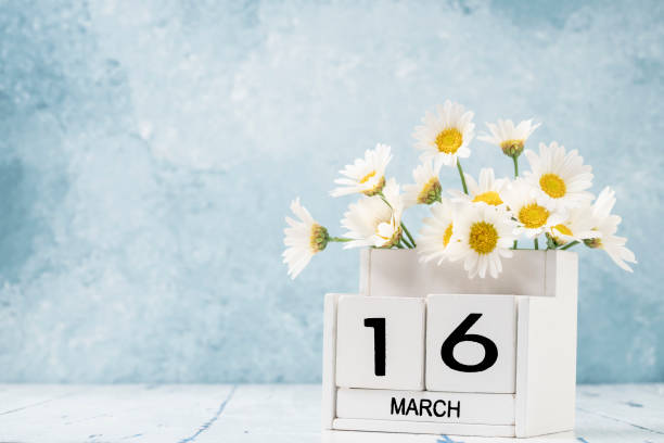 istock White cube calendar for march decorated with daisy flowers over blue with copy space 1305850029