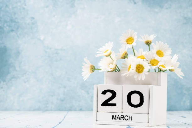 istock White cube calendar for march decorated with daisy flowers over blue with copy space 1305850031