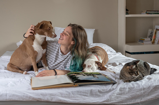young woman having fun with dog and cat on the bed in the bedroom